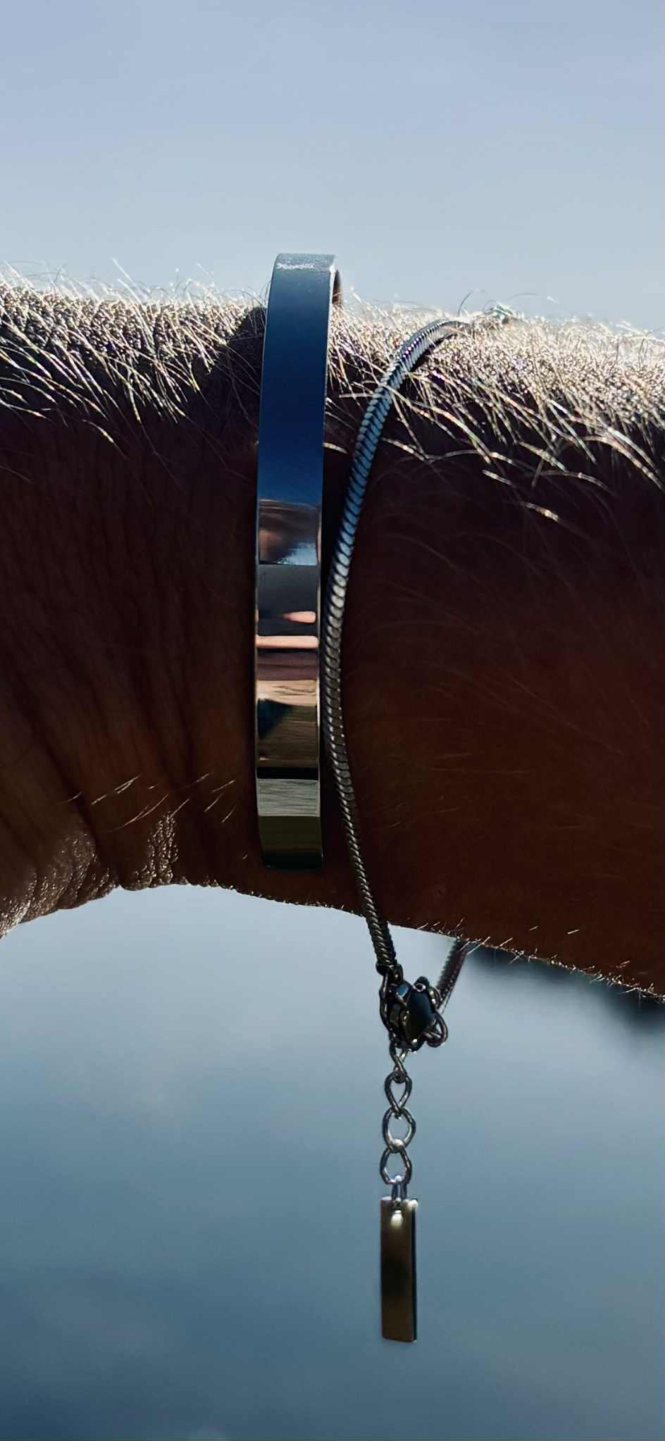 Directus & Basiliscus Sæt