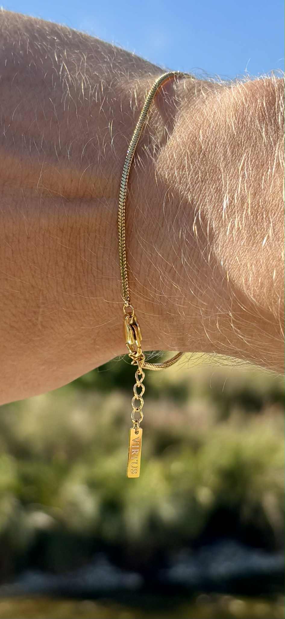 Directus & Basiliscus Sæt