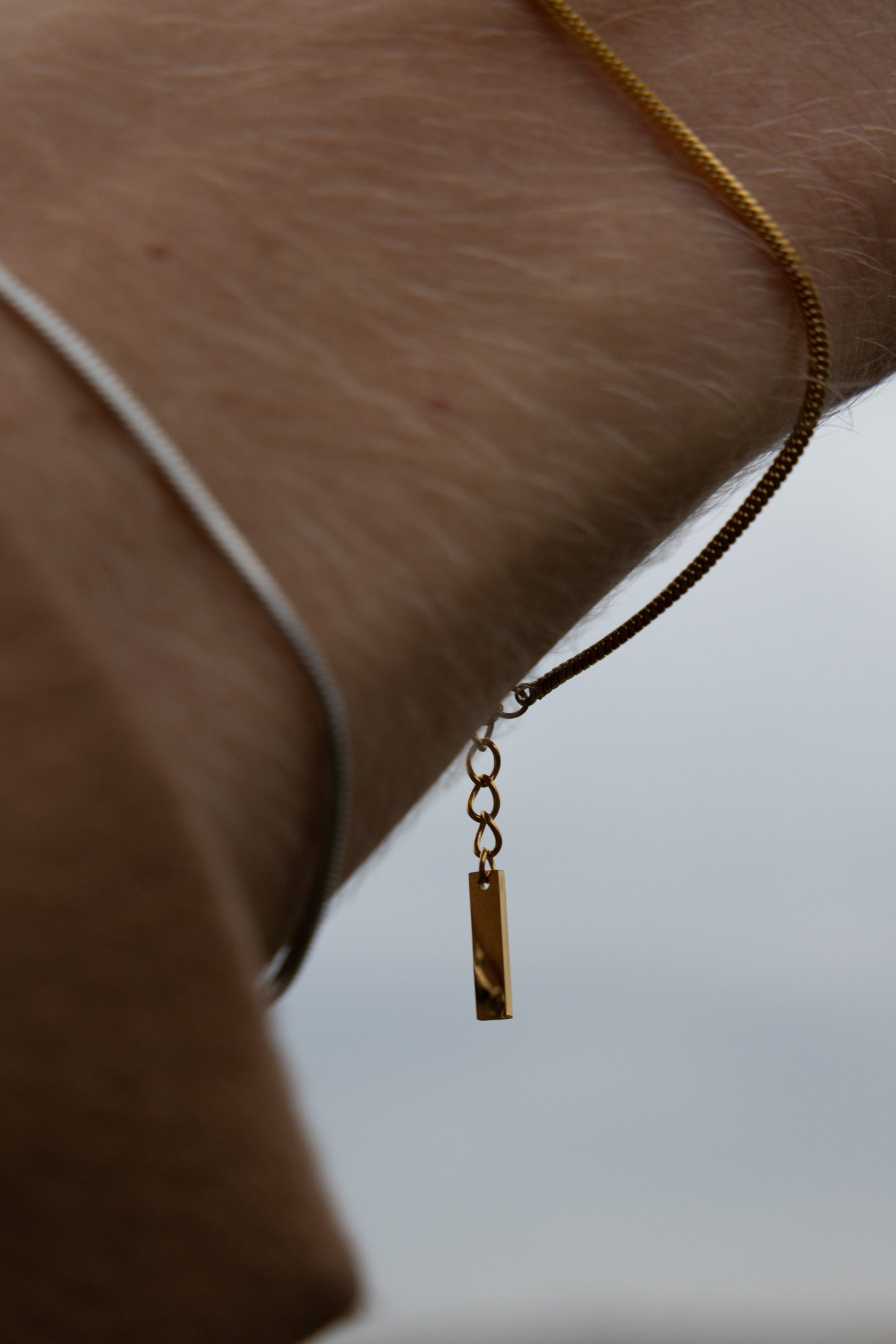 Directus & Basiliscus Sæt